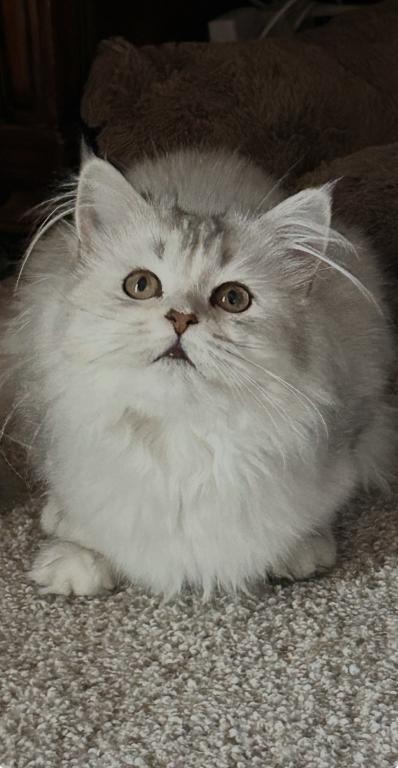 No Name Yet photo 3