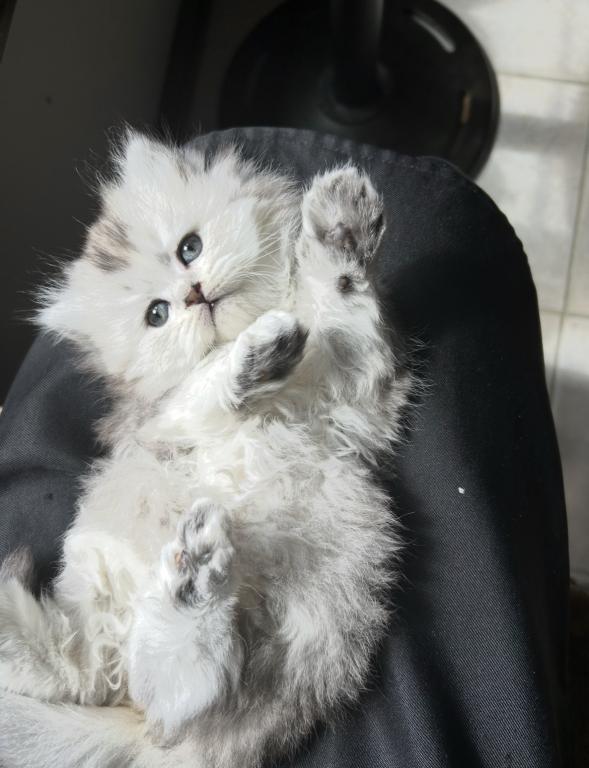 No Name Yet photo 6