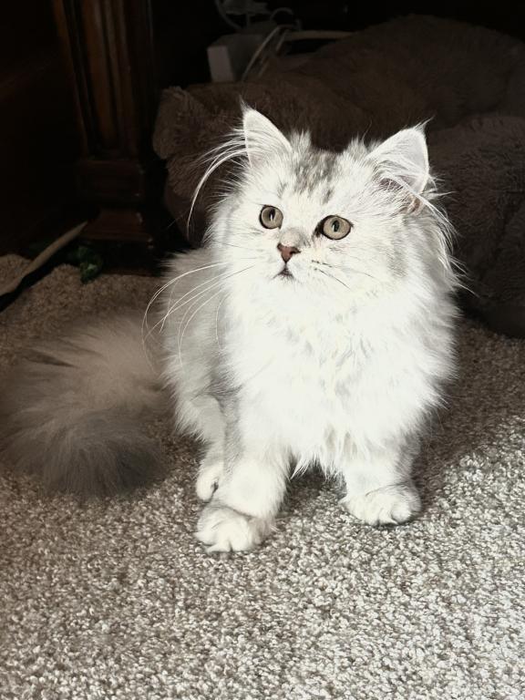 No Name Yet photo 4