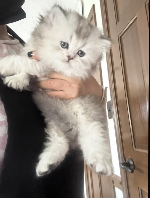 No Name Yet photo 7