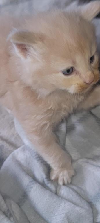 Jasper photo 2