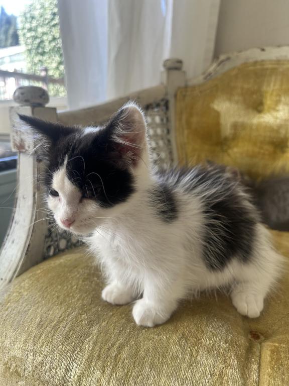 Luna photo 3
