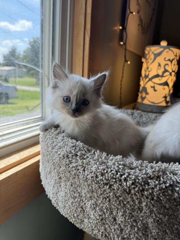 Elsa photo 3