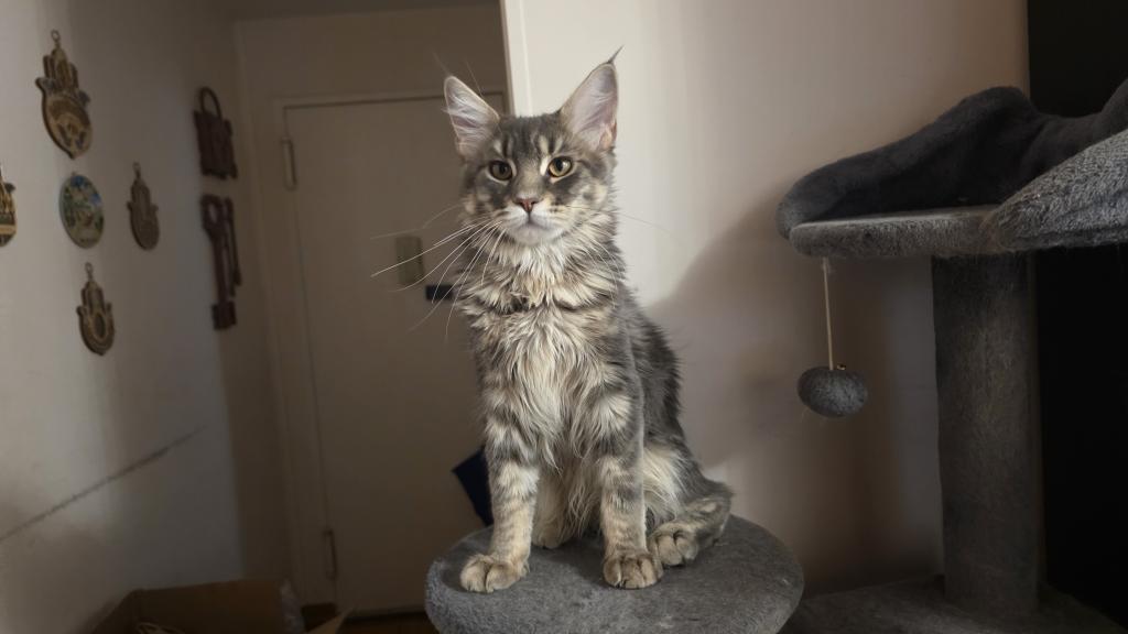 Sam