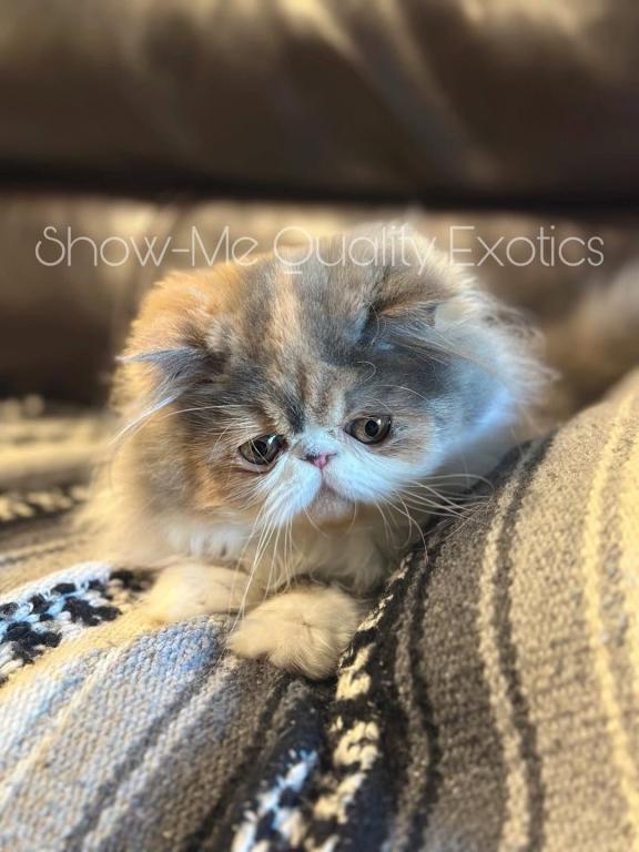 Eleanor