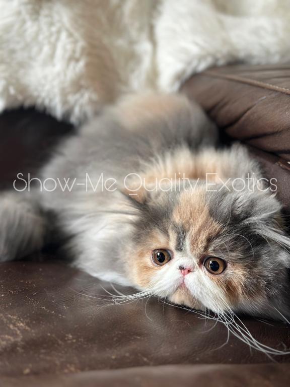 Eleanor photo 1