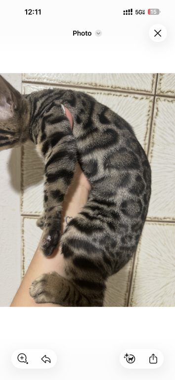 Zenna photo 1