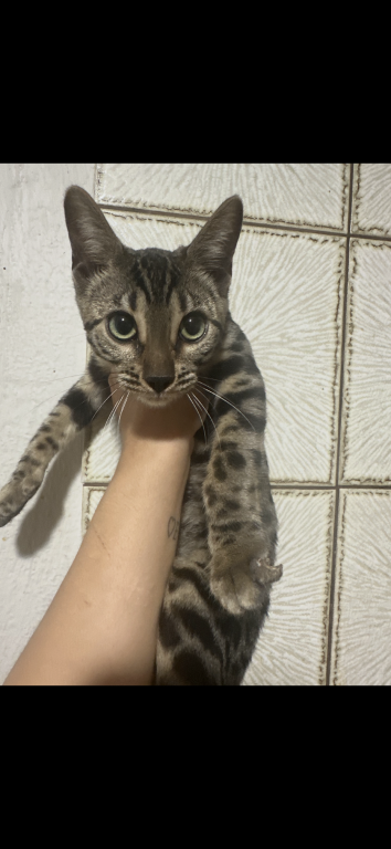 Zenna photo 2