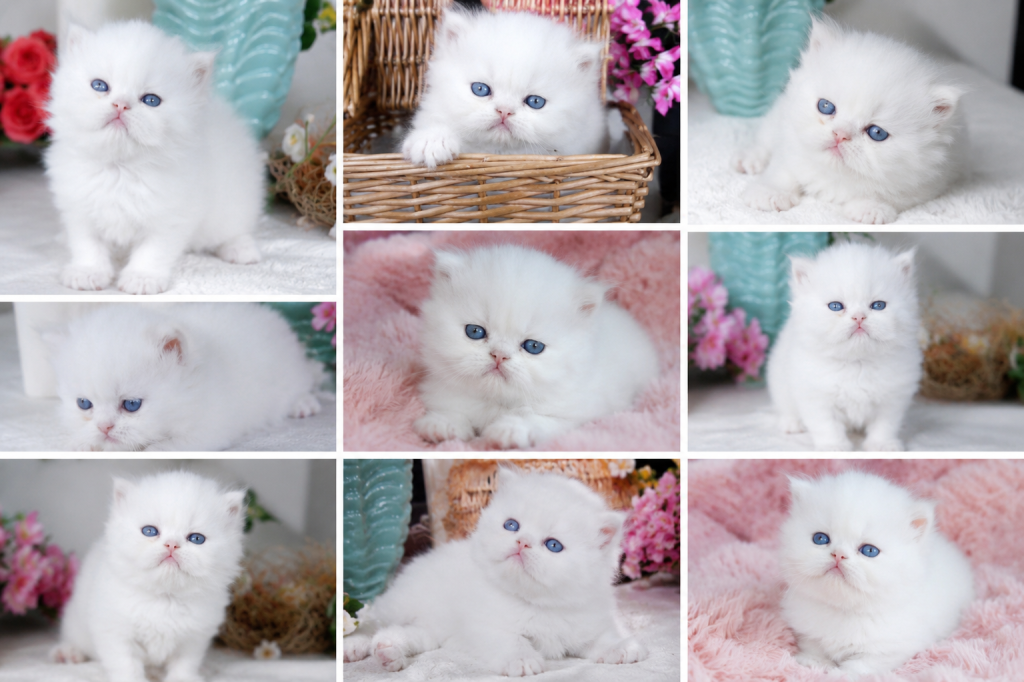 Cuties photo 8
