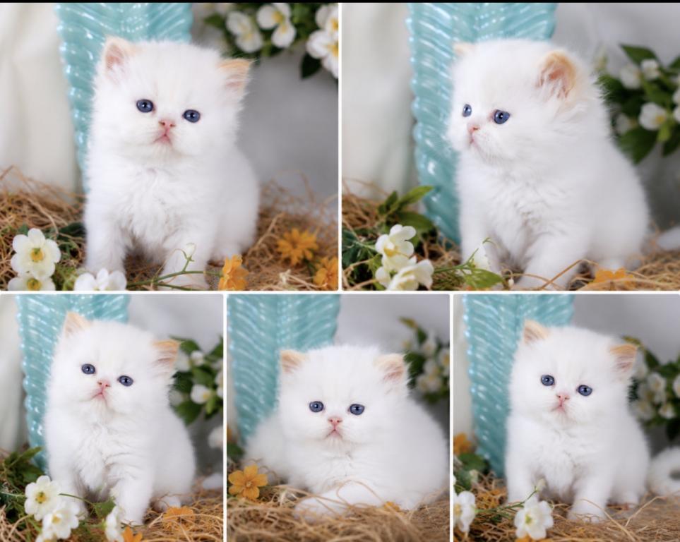 Cuties photo 7