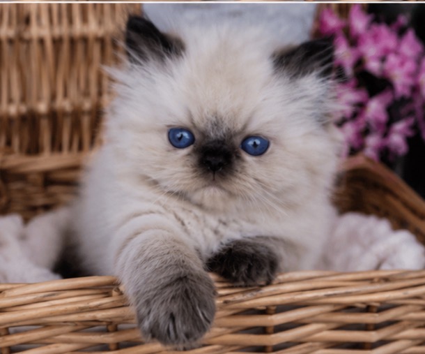 Cuties photo 6