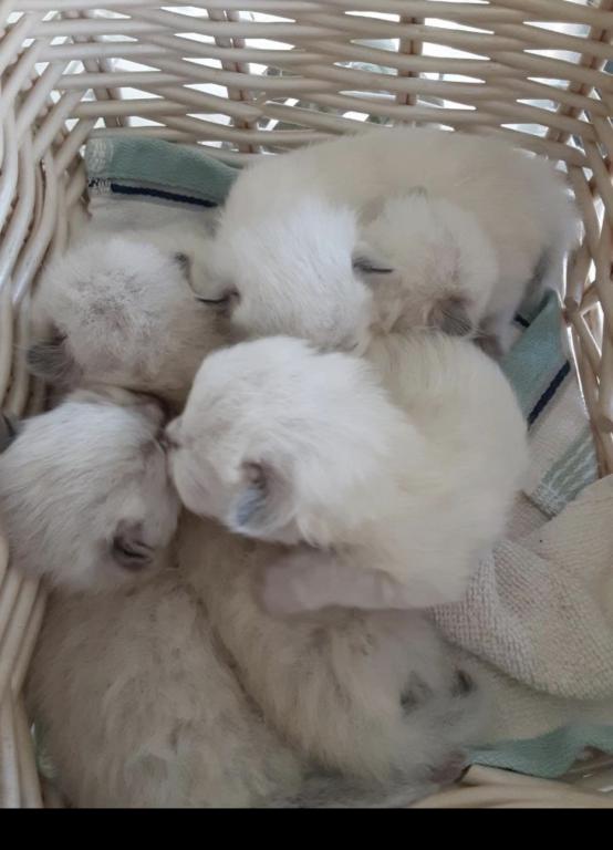 Cuties photo 10