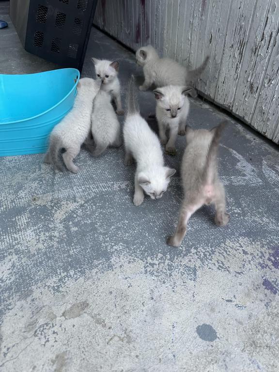 Boys 1 photo 13