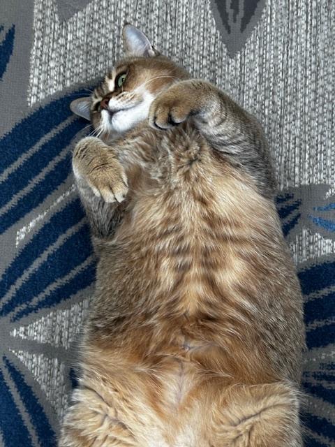 Candy photo 8