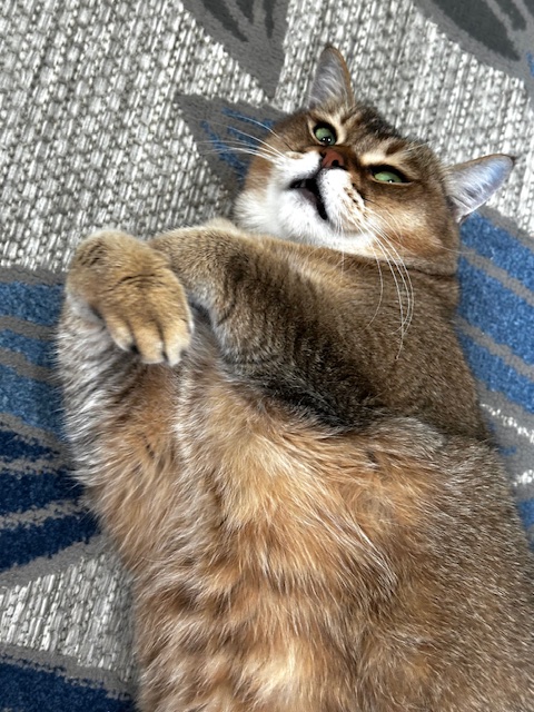 Candy photo 7