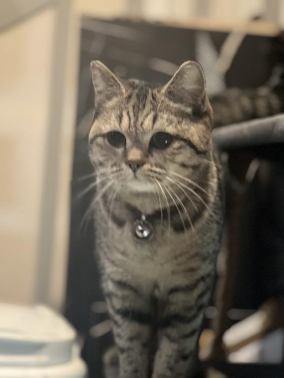 Kira photo 2