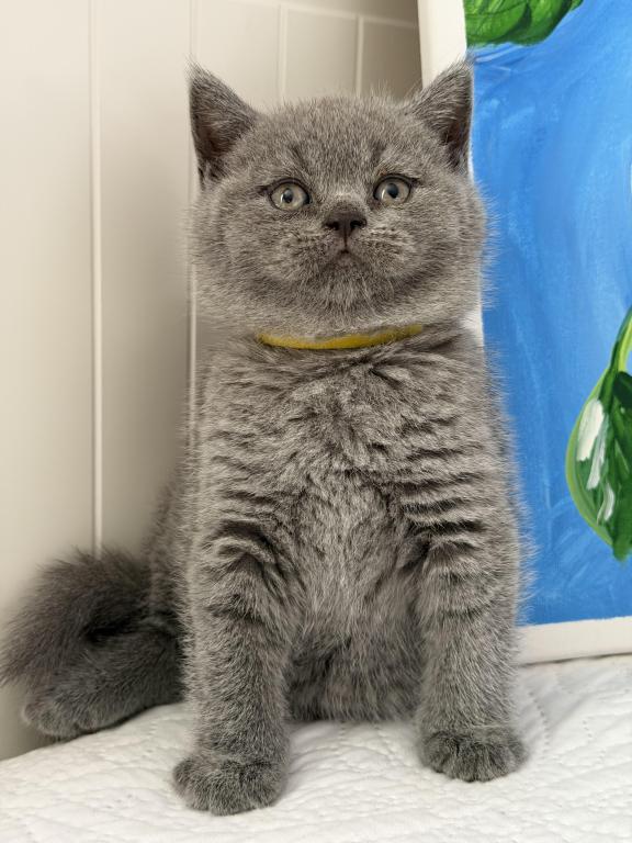 Mimi photo 31
