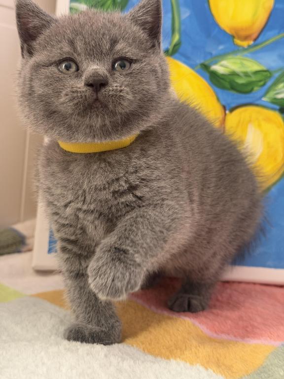 Mimi photo 38