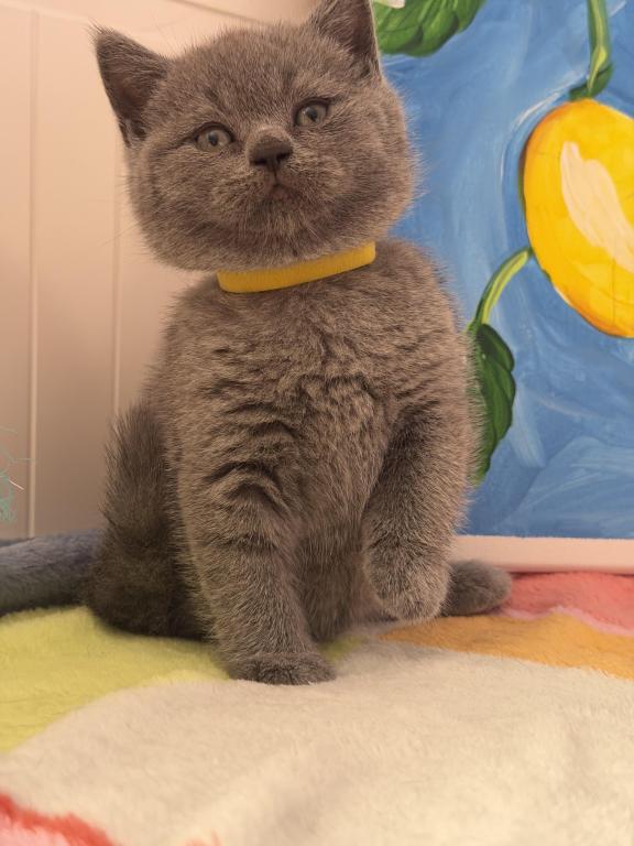 Mimi photo 35