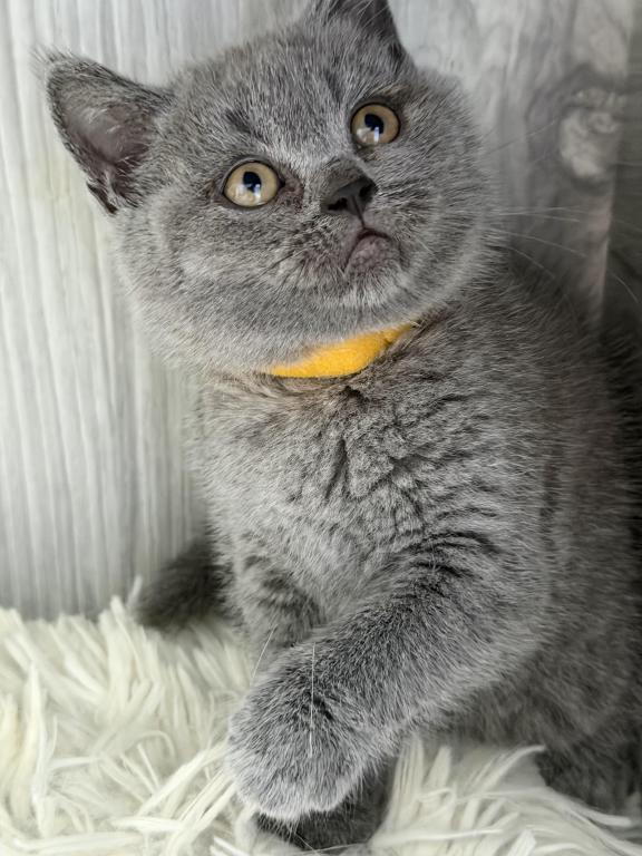 Mimi photo 22