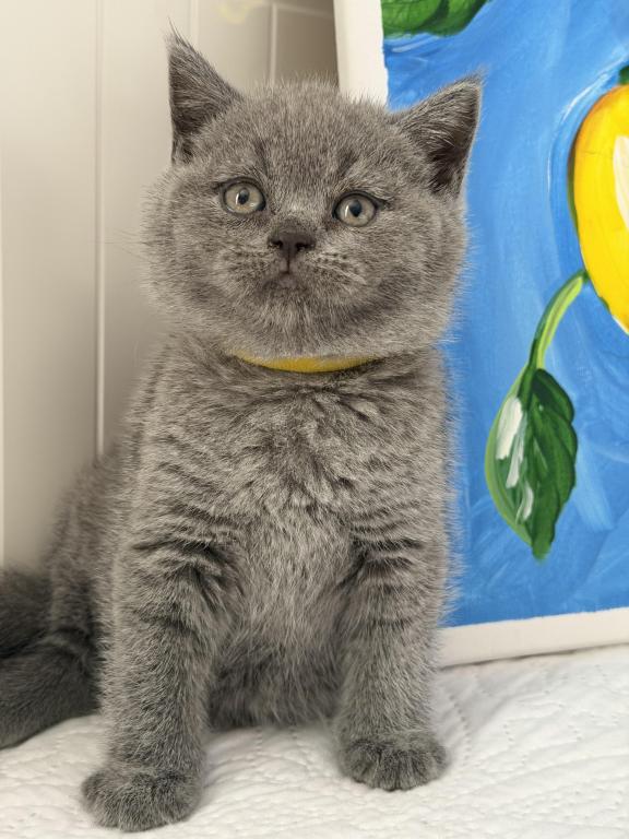 Mimi photo 29