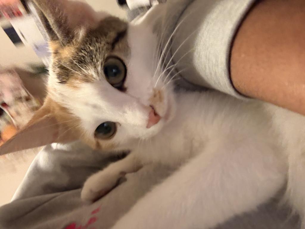 Mila