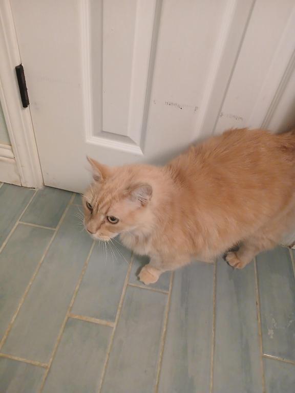 Marco