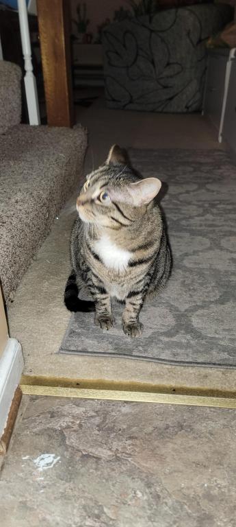 Lucie