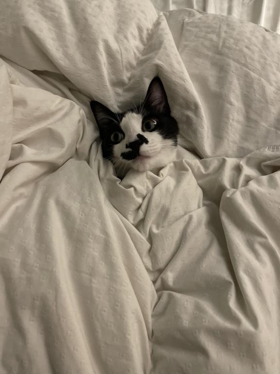 Zuko photo 4