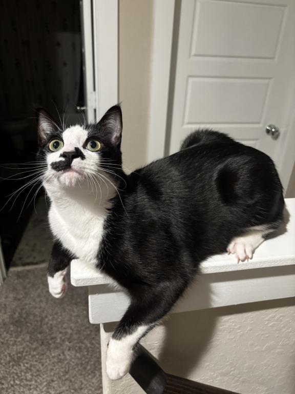 Zuko photo 3