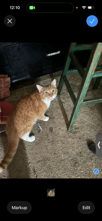 Garfield photo 2