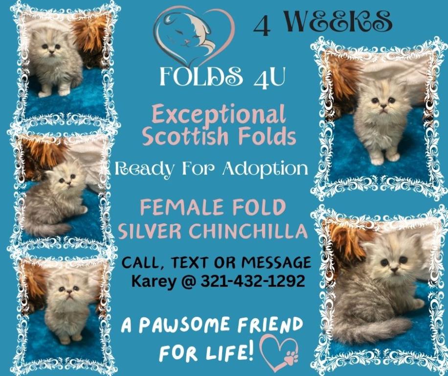 Maddie Mac Litter 3 Week 4 photo 8