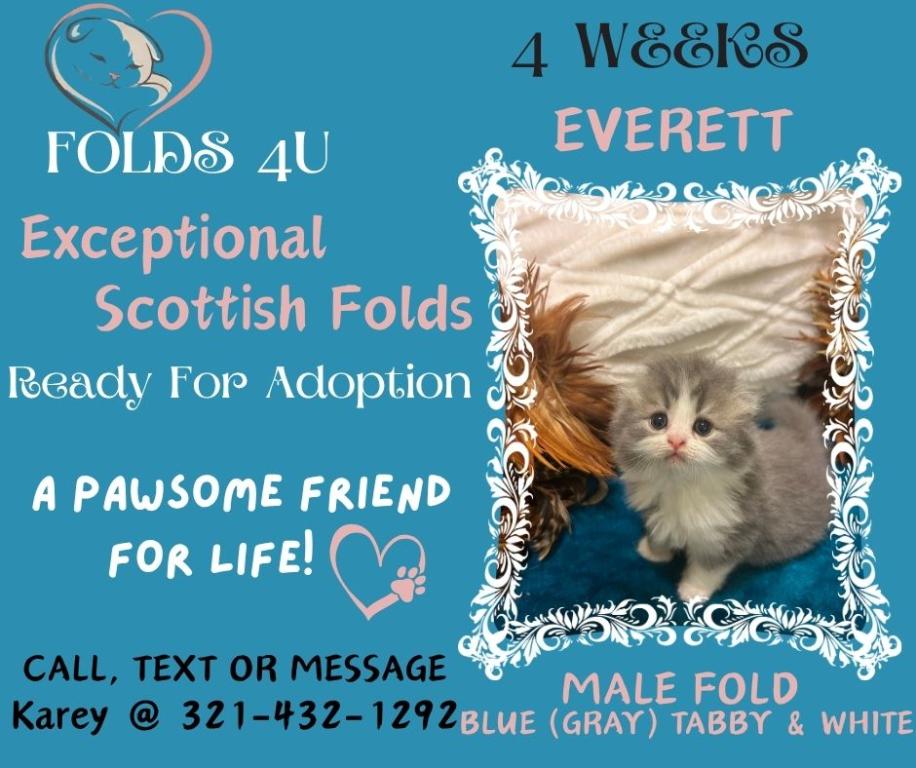 Maddie Mac Litter 3 Week 4 photo 5