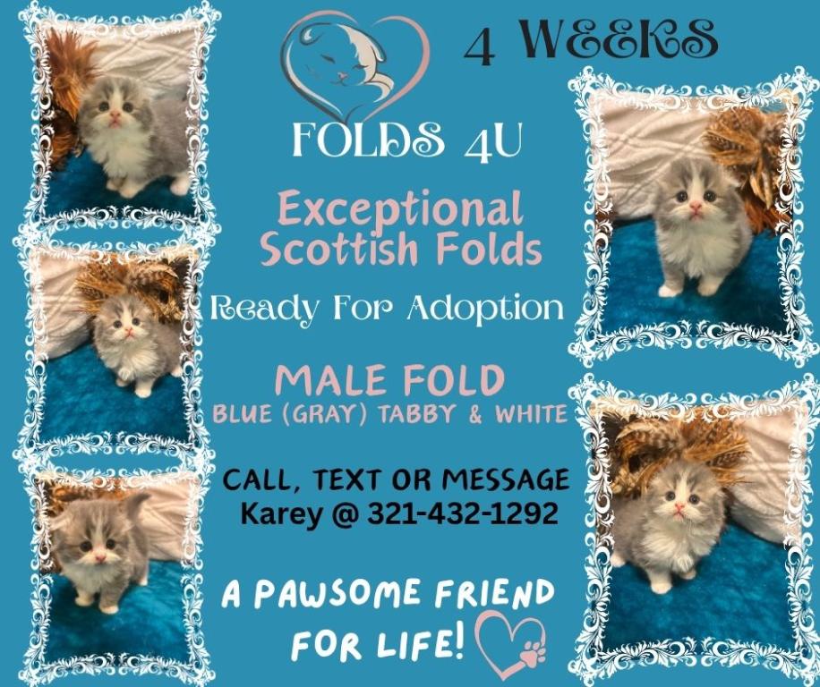 Maddie Mac Litter 3 Week 4 photo 4
