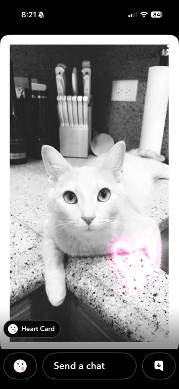 Hank