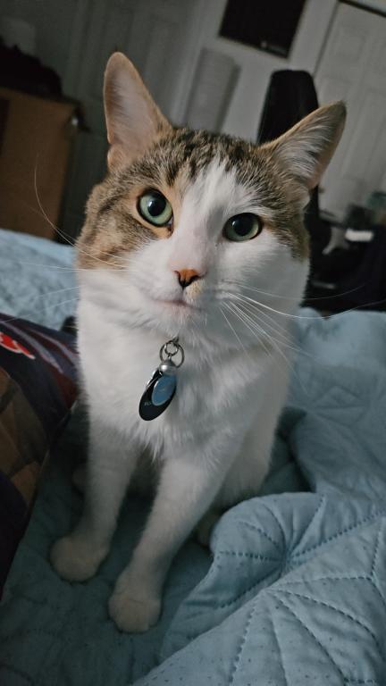 Leo
