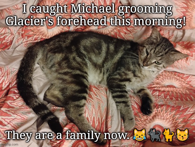 Michael photo 11