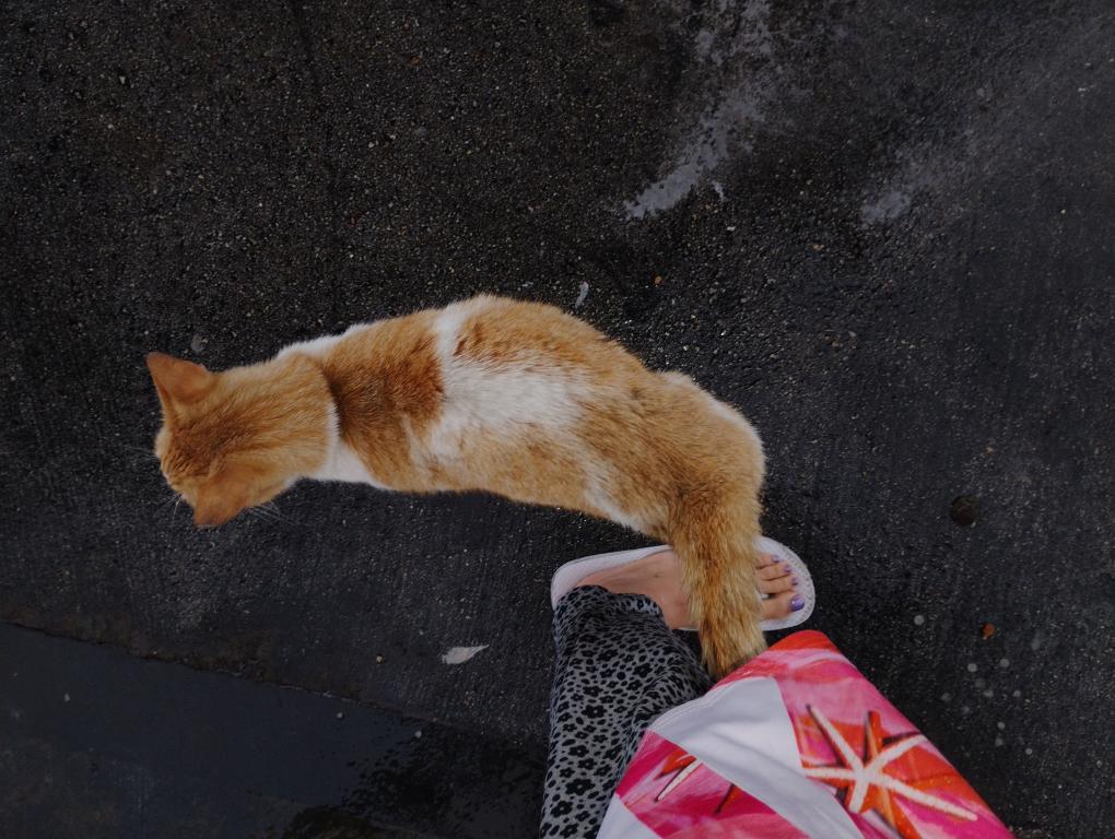 Rusty photo 19