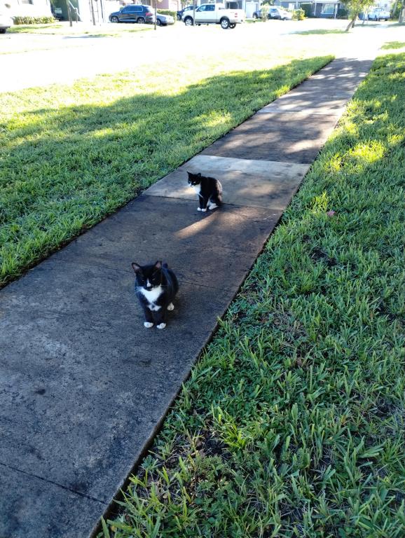 BabyTux photo 5