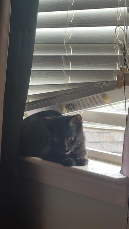 Mittens