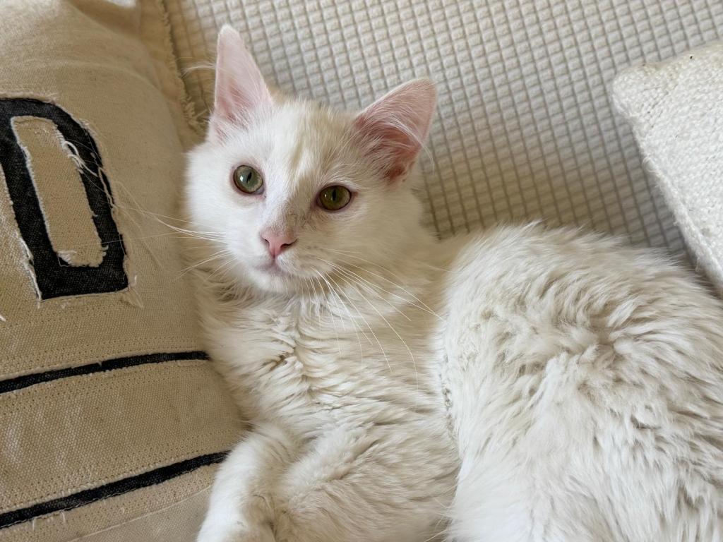 Sebastian photo 1