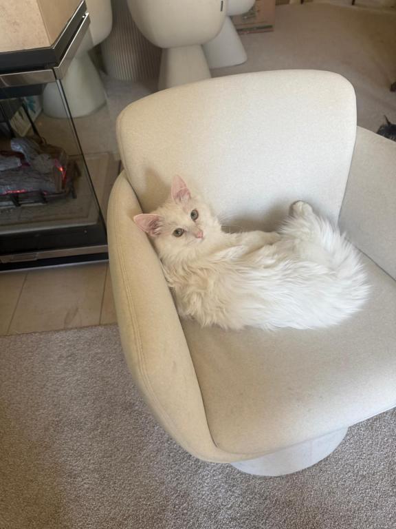 Sebastian photo 2