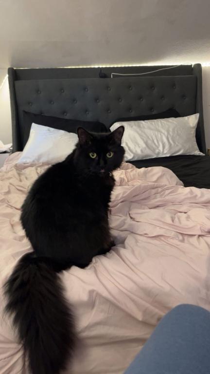 Sammy