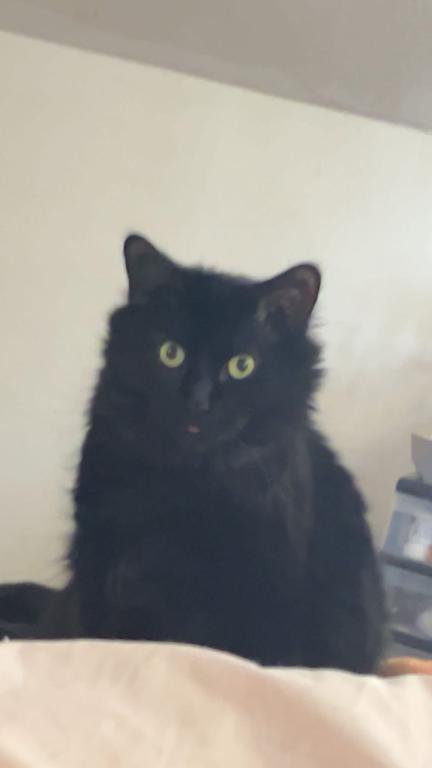 Sammy photo 2