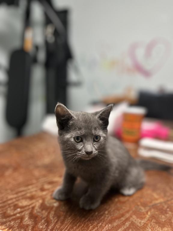 No Name