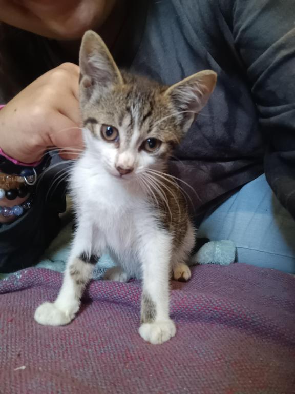ET's Litter photo 15