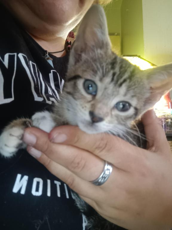 ET's Litter photo 13