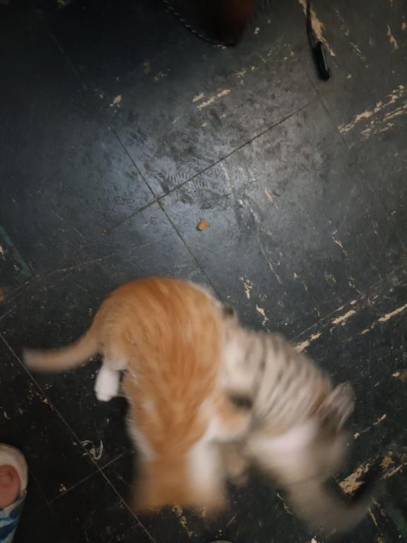 ET's Litter photo 4