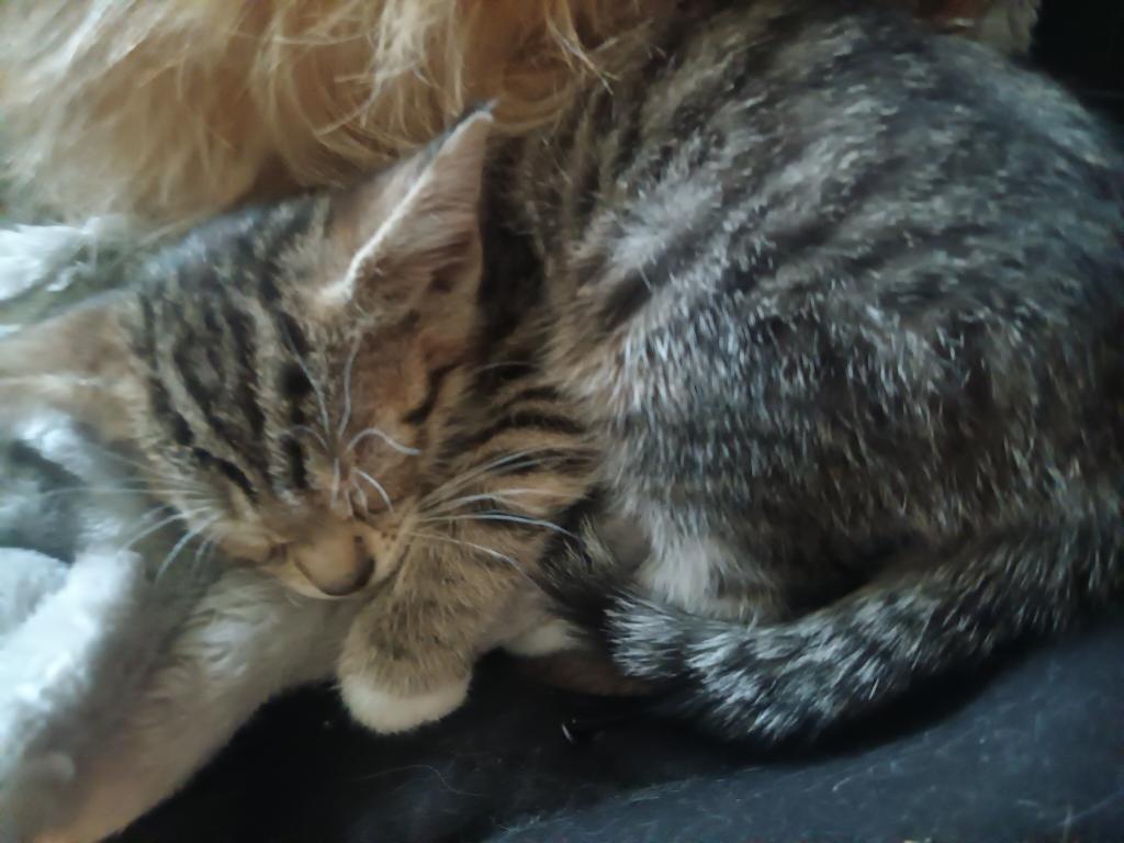 ET's Litter photo 12