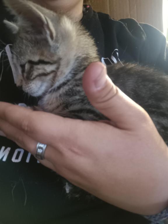 ET's Litter photo 14